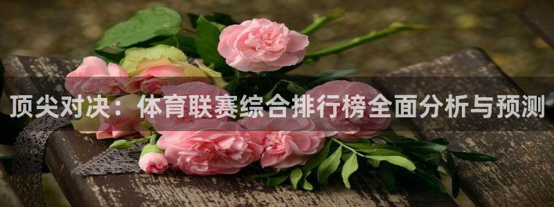 顶尖对决：体育联赛综合排行榜全面分析与预测