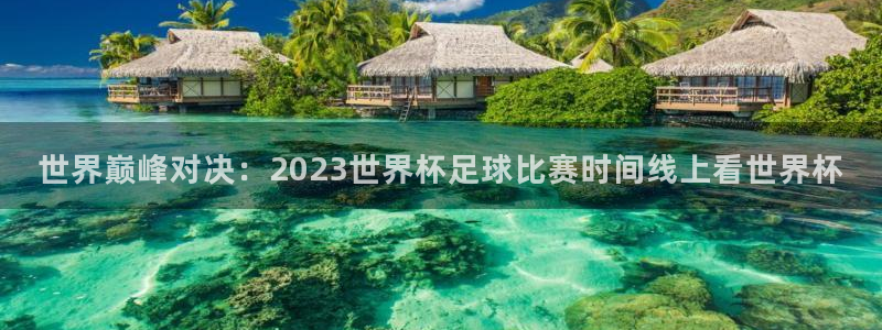 世界巅峰对决：2023世界杯足球比赛时间线上看世界杯