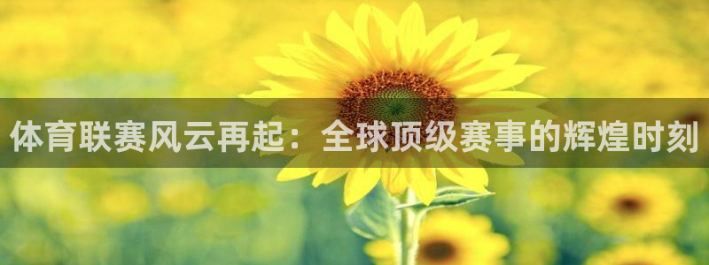 体育联赛风云再起：全球顶级赛事的辉煌时刻