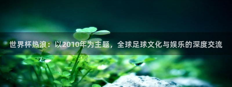 世界杯热浪：以2010年为主题，全球足球文化与娱乐的深度交流