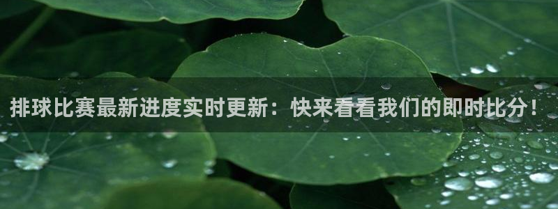 排球比赛最新进度实时更新：快来看看我们的即时比分！