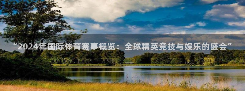“2024年国际体育赛事概览：全球精英竞技与娱乐的盛会”