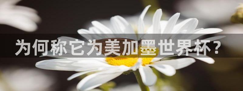 为何称它为美加墨世界杯？