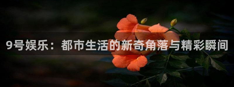 9号娱乐：都市生活的新奇角落与精彩瞬间
