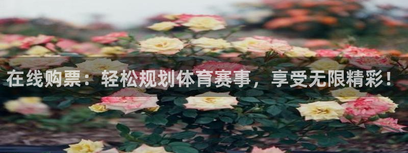 在线购票：轻松规划体育赛事，享受无限精彩！